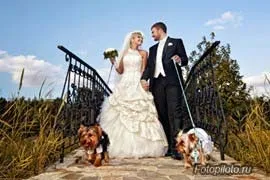 Кращі весільні фотографії ідеї - дізнайся більше про фотографуванні портретів на