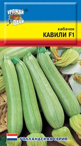 Кращі сорти кабачків для відкритого грунту з фото, назвою і описом (кабачків) Кращі сорти кабачків для відкритого грунту з фото, назвою і описом