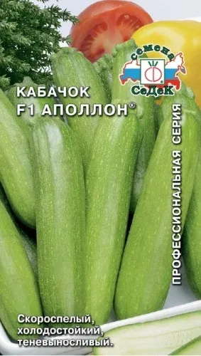 Кращі сорти кабачків для відкритого грунту з фото, назвою і описом (сорти) Кращі сорти кабачків для відкритого грунту з фото, назвою і описом