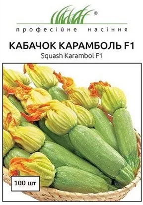Кращі сорти кабачків для відкритого грунту з фото, назвою і описом (грунту) Кращі сорти кабачків для відкритого грунту з фото, назвою і описом