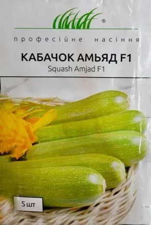 Кращі сорти кабачків для відкритого грунту з фото, назвою і описом (знімається близько кілограм) Кращі сорти кабачків для відкритого грунту з фото, назвою і описом