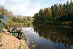 Ловля коропа на річці