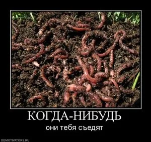 Ловля коропа на річці