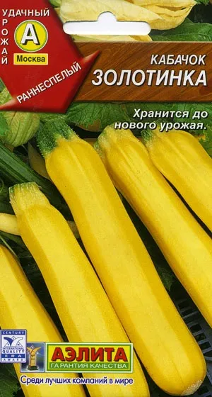 Кращі сорти кабачків для відкритого грунту з фото, назвою і описом (грунту) Кращі сорти кабачків для відкритого грунту з фото, назвою і описом