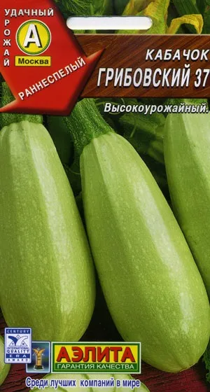 Кращі сорти кабачків для відкритого грунту з фото, назвою і описом (кабачків) Кращі сорти кабачків для відкритого грунту з фото, назвою і описом