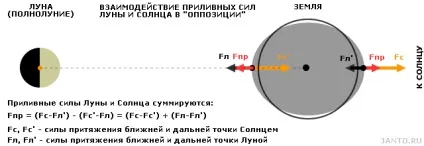 Місячна гравітація і її вплив на землю (гравітація) Місячна гравітація і її вплив на землю