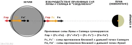 Місячна гравітація і її вплив на землю (вплив) Місячна гравітація і її вплив на землю