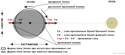 Місячна гравітація і її вплив на землю (гравітація) Місячна гравітація і її вплив на землю