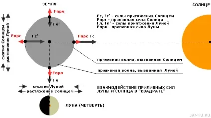 Місячна гравітація і її вплив на землю (місячна) Місячна гравітація і її вплив на землю