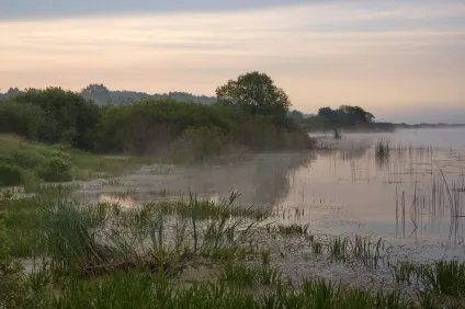 Лугове озеро і його мешканці, дикий журнал (мешканці) Лугове озеро і його мешканці, дикий журнал