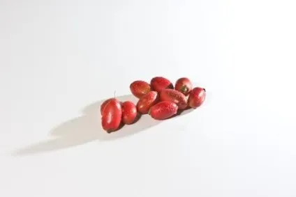 Магічний фрукт (лат