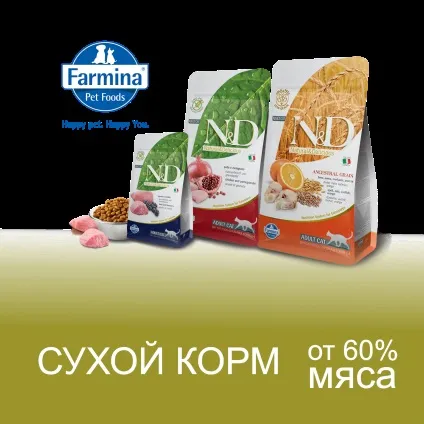 Магазин товарів для тварин, магазин кормів, товари для кішок (кормів) Магазин товарів для тварин, магазин кормів, товари для кішок