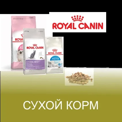 Магазин товарів для тварин, магазин кормів, товари для кішок (кормів) Магазин товарів для тварин, магазин кормів, товари для кішок