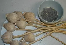 макова соломка