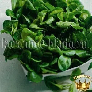 Маш-салат - коронна страва