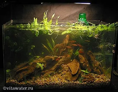 Маленький акваріум - джерело на письмовому столі (вийде скачайте кодек) Маленький акваріум - джерело на письмовому столі