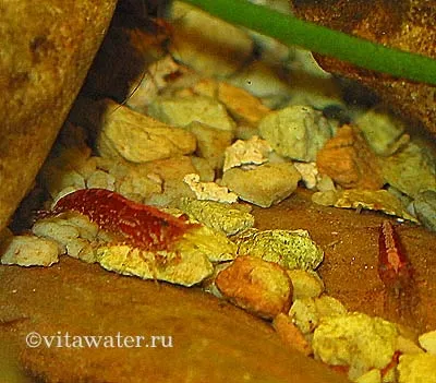 Маленький акваріум - джерело на письмовому столі (письмовому) Маленький акваріум - джерело на письмовому столі