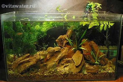 Маленький акваріум - джерело на письмовому столі (акваріум) Маленький акваріум - джерело на письмовому столі
