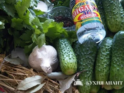 Маринування свіжих огірків (маринування свіжих огірків) Маринування свіжих огірків