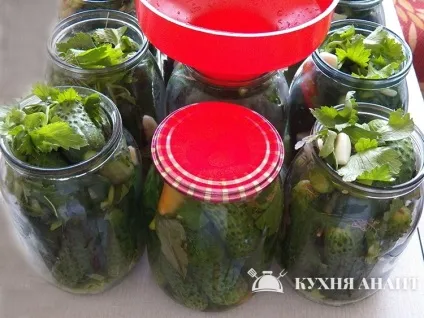 Маринування свіжих огірків (маринування свіжих огірків) Маринування свіжих огірків