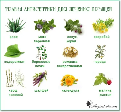 Маска з вівсянки від прищів (маска) Маска з вівсянки від прищів