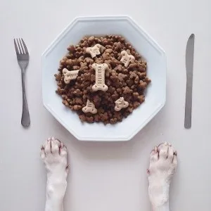 Зола склад і властивості, food and health (склад) Зола склад і властивості, food and health