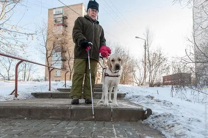 Золоті собаки - новини в фотографіях (навчально-кінологічного центру Золоті собаки - новини в фотографіях