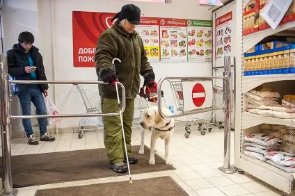 Золоті собаки - новини в фотографіях (навчально-кінологічного центру Золоті собаки - новини в фотографіях