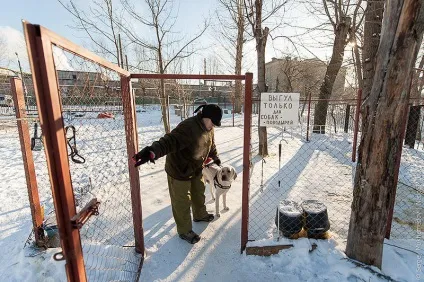 Золоті собаки - новини в фотографіях (тренер просторового орієнтування) Золоті собаки - новини в фотографіях
