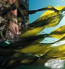 Маски для тіла, прям як в спа! (Проблемні ділянки шкіри) Маски для тіла, прям як в спа!