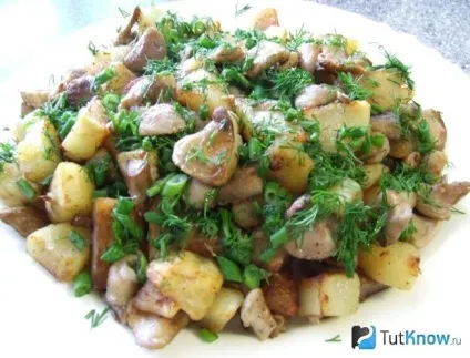 Маслюки склад, калорійність, користь, рецепти