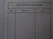 Міжнародний ветеринарний паспорт для кішок, як отримати ветеринарний паспорт, оформлення і (міжнародний) Міжнародний ветеринарний паспорт для кішок, як отримати ветеринарний паспорт, оформлення і