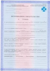 Міжнародний ветеринарний паспорт для кішок, як отримати ветеринарний паспорт, оформлення і (заповнення) Міжнародний ветеринарний паспорт для кішок, як отримати ветеринарний паспорт, оформлення і
