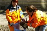 Мітла творення або розбрату навіщо потрібні весняні суботники, події, суспільство, АіФ Львів (суботники) Мітла творення або розбрату навіщо потрібні весняні суботники, події, суспільство, АіФ Львів