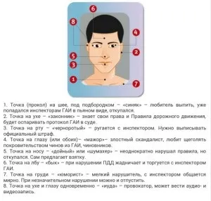 Мітки на водійських правах від даішників і їх значення у 2017 році (мітки) Мітки на водійських правах від даішників і їх значення у 2017 році