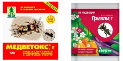 Капустянка фото, опис, способи боротьби (капустянка) Капустянка фото, опис, способи боротьби