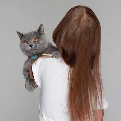 Медальйон-маячок для кішок tabcat купити, ціни, відгуки, фото, відео (tabcat) Медальйон-маячок для кішок tabcat купити, ціни, відгуки, фото, відео