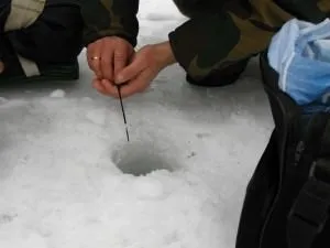 Блешні на окуня - які найкращі і уловисті її розміри для лову влітку, взимку і навесні (розміри) Блешні на окуня - які найкращі і уловисті її розміри для лову влітку, взимку і навесні