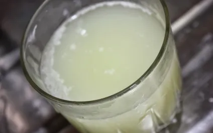 Молочна сироватка - користь, шкода і застосування (сироватка з молока) Молочна сироватка - користь, шкода і застосування