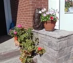 Чи можна в одній теплиці посадити 2 культури з ряду томати-огірки-перці-Бакл ажани і яке їх (теплиці і парники) Чи можна в одній теплиці посадити 2 культури з ряду томати-огірки-перці-Бакл ажани і яке їх