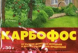 Мошки на кухні - як з ними боротися (як врятуватися від мошки народними засобами) Мошки на кухні - як з ними боротися
