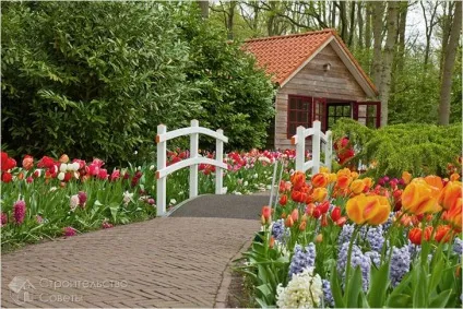 Містки на дачі своїми руками фото (дачі) Містки на дачі своїми руками фото