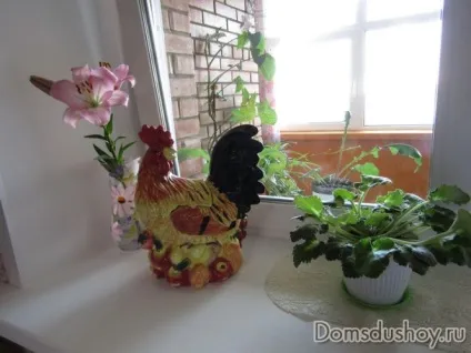 Моя затишна кухня
