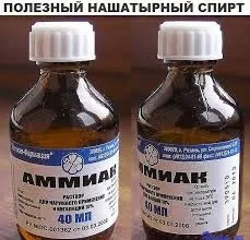Нашатирний спирт в домашніх умовах, Зоя (домашніх) Нашатирний спирт в домашніх умовах, Зоя
