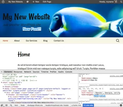 Початок роботи з wordpress зміна зовнішнього вигляду вашого сайту за допомогою css, cms і движки для (початок) Початок роботи з wordpress зміна зовнішнього вигляду вашого сайту за допомогою css, cms і движки для
