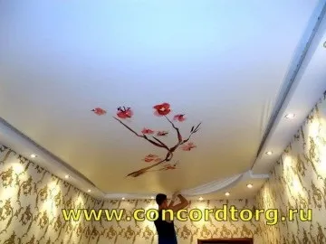 Натяжні стелі в японському стилі від компанії конкорд - гідний вибір, відмінні ціни! (Японському) Натяжні стелі в японському стилі від компанії конкорд - гідний вибір, відмінні ціни!