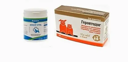 Натуральний раціон годування собак похилого віку - клуб любителів маленьких собак (собак) Натуральний раціон годування собак похилого віку - клуб любителів маленьких собак