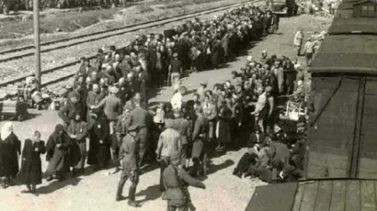 Невідомий освенцим про що в'язні табору смерті мовчали 70 років