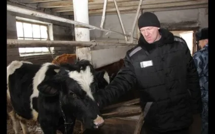 Чи не курорт, але і не зона, байкал інфо (View full image) Чи не курорт, але і не зона, байкал інфо