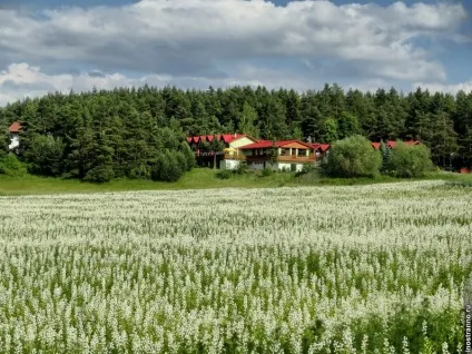 Національний парк «словацький рай» (Андрій Сікач дістатися) Національний парк «словацький рай»